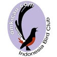 Icon of program: Klub Burung Om Kicau