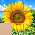 Icon of program: BlockPics Jigsaw Puzzle