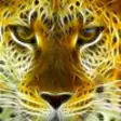 Icon of program: Amazing Leopards Wallpape…