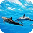 Icon of program: Dolphins Live Wallpaper