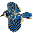 Icono de programa: Blue Jay Flying