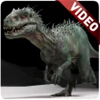 Icon of program: Dinosaur Video Wallpaper