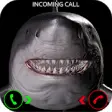 Icon of program: Great White Shark Prank C…