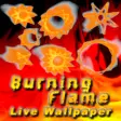 Icon of program: Burning Flame Lite