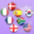Icon of program: Memory Game Flags