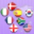 Icon of program: Memory Game Flags
