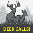 Icono de programa: Deer Sounds & Calls!