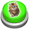 Icono de programa: Meow Cat Kitten Button