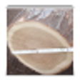 Icono de programa: LOGSCALE_DOYLE
