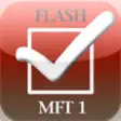 Icon of program: MFT Flip Pro