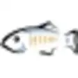 Icon of program: GlassFish Enterprise Serv…