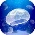 Icon of program: Jellyfish Pet