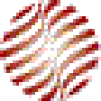 Icon of program: DataNAUT TL