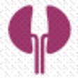 Dialysis of Drugs icon