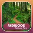 Icon of program: Redwood National and Stat…
