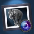 Icon of program: Dramatic Black & White