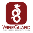 Icono de programa: WireGuard
