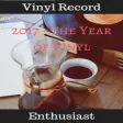 Icon of program: Vinyl Record Enthusiast
