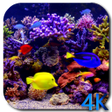 Icon of program: Aquarium 4K Video Wallpap…