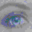 Icono de programa: Watcher