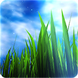 Icon of program: 3D GRASS Live Wallpaper