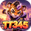 Icono de programa: TT345Flow