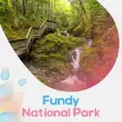 Icon of program: Fundy National Park Touri…