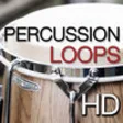 Icon of program: Percussion Loops HD