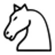 Icon of program: 4-Player Chess (Beta)