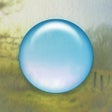 Icon of program: Quell+
