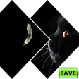 Icon of program: Best Black Wallpapers
