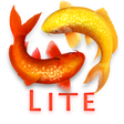 Icon of program: Koi Pond 3D Lite