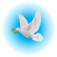Divine Alerts icon