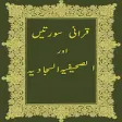 Icon of program: Sahifa Sajjadia:Sahifa Ka…