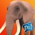 Icon of program: PI VR Animals
