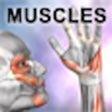 Icon of program: Learn Muscles : Anatomy Q…