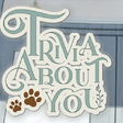 Icon of program: Trivia About You
