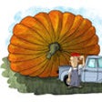 Icon of program: BigPumpkins