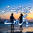 Icon of program: Teri mohabbat mein pagal …