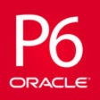 Icon of program: Oracle Primavera P6 EPPM