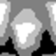 Icon of program: Head Blur and Masking