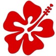 Icon of program: 300 Hawaiian Word Dict an…