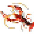 Icono de programa: AnimatLab