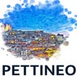 Icono de programa: Pettineo
