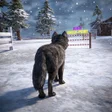 Icon of program: Wolf Simulator Survival 3…
