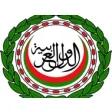 Icon of program: Arab Flags