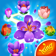 Icono de programa: Blossom Blast Saga