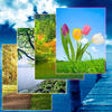 Icon of program: Nature Wallpapers and Bac…