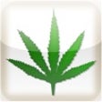 Icon of program: Marijuana App (for Medici…