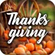 Icon of program: Thanksgiving Greeting Car…
